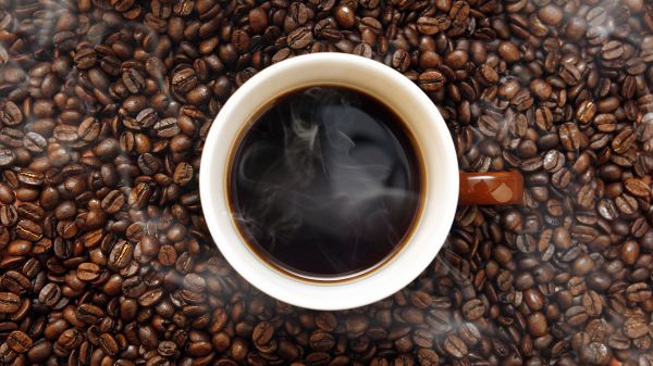 National coffee chain Umbraco to WordPress migration